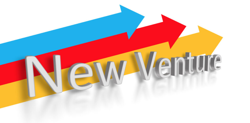 Strategic Engagement of Professional Marketing Services: A Framework for New Venture Survival