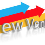 Strategic Engagement of Professional Marketing Services: A Framework for New Venture Survival